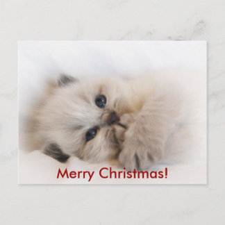 ebay 003, Merry Christmas! Holiday Postcard