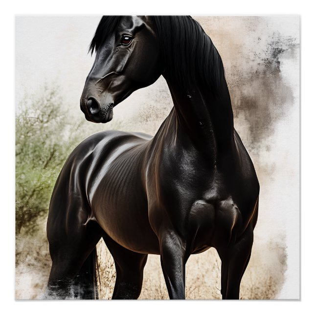 Ebene Elegance Poster (Front)