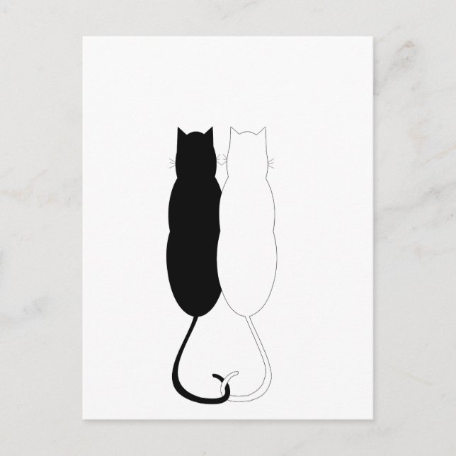 Ebony and Ivory Cats Postcard (Front)