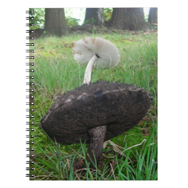 Ebony and Ivory Fungi Notebook (Front)