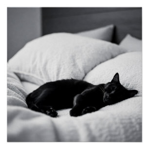 Ebony Dreams: Feline Comfort and Charm Poster