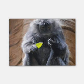 Ebony Langur Post-it Notes