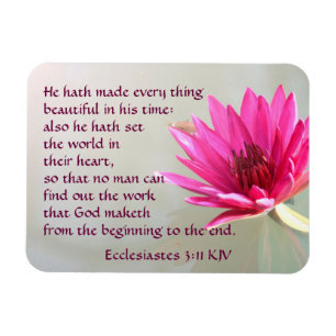Ecclesiastes 3:11 Everything beautiful in His time Magnet