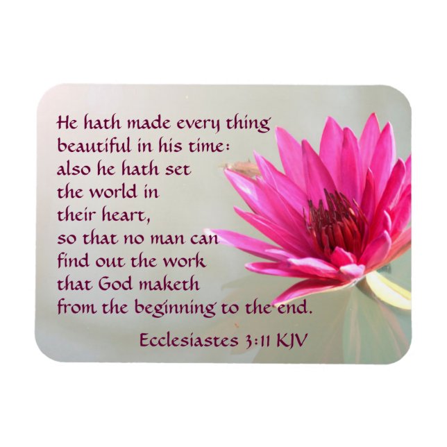 Ecclesiastes 3:11 Everything beautiful in His time Magnet (Horizontal)