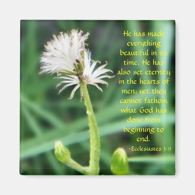 Ecclesiastes 3:11 magnet (Front)