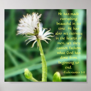 Ecclesiastes 3:11 print