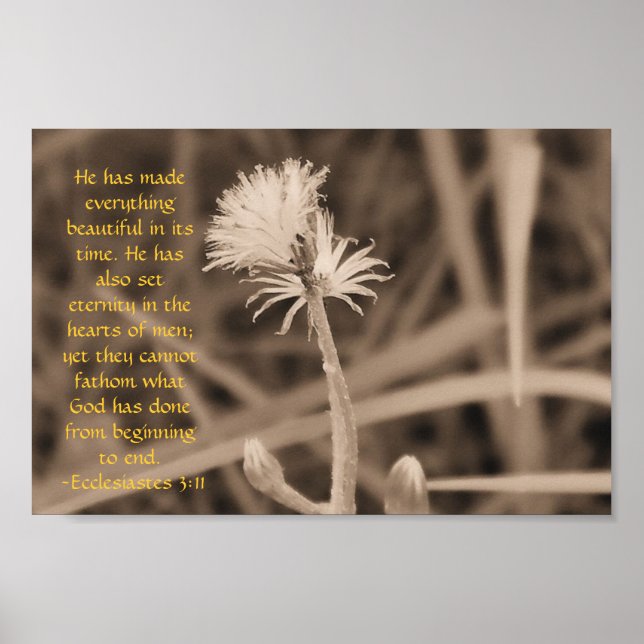 Ecclesiastes 3:11 print in sepiatone (Front)