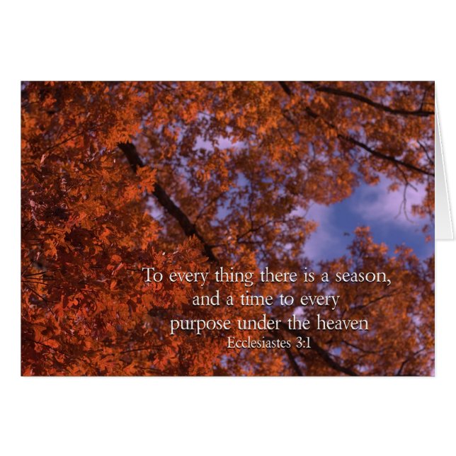 Ecclesiastes 3:1 To every thing there is a season (Front Horizontal)