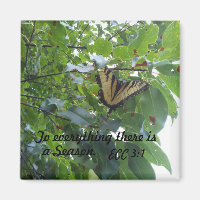 Ecclesiastes 3:1 To everything there is a season