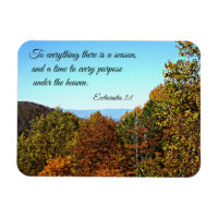 Ecclesiastes 3:1 To everything there is a season..