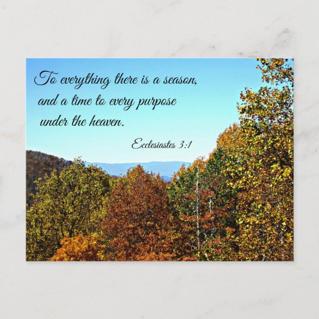 Ecclesiastes 3:1 To everything there is a season.. Postcard (Front)