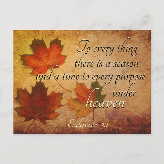 Ecclesiastes 3:1 To everything there is a season, Postcard (Front)