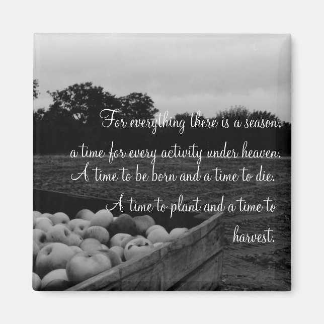 Ecclesiastes 3:2 magnet (Front)