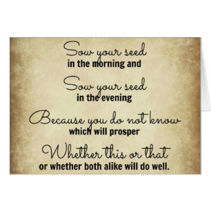 Ecclesiastes Bible verse sow your seed