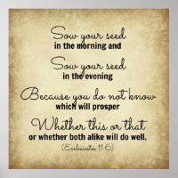 Ecclesiastes Bible verse sow your seed