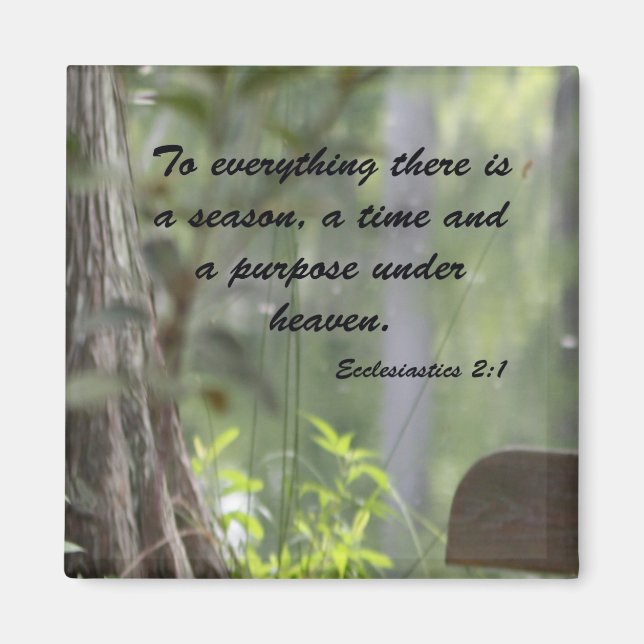 Ecclesiastics 2:1 magnet (Front)