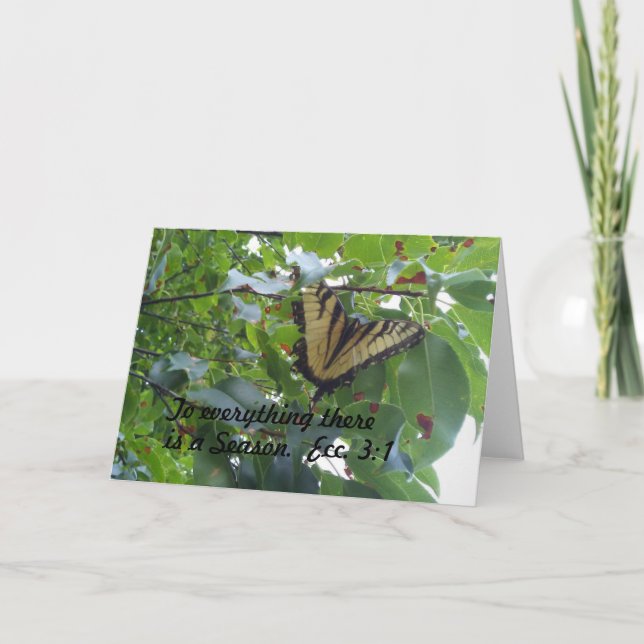 Ecclesiasts 3:1 To everything there is a season Card (Front)