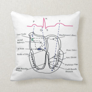 Ecg Pillow