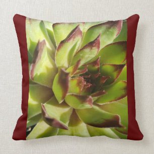 Echeveria Agavoides Pillow