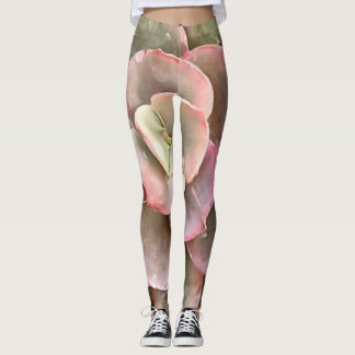 Echeveria Cactus Succulent Acrylic Painting Leggings