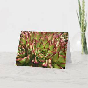 Echeveria notecard