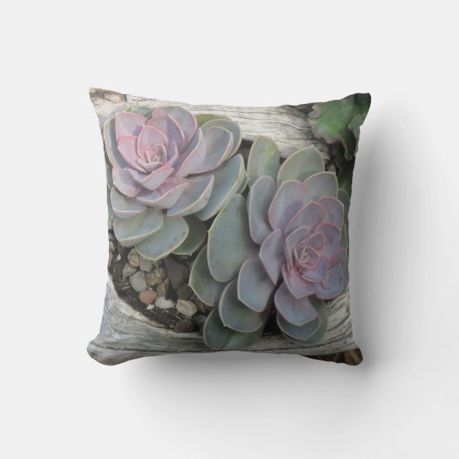 Echeveria Pillow (Front)
