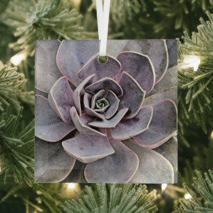 ECHEVERIA PLANT (SUCCULENT) GLASS TREE DECORATION