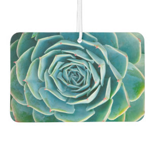 Echeveria Rosette, Secret Garden of Marrakech Car Air Freshener