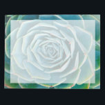 Echeveria Rosette, Secret Garden of Marrakech Notepad<br><div class="desc">Echeveria rosette (Echeveria elegans),  a semi-desert succulent plant native to Mexico,  Secret Garden of Marrakech,  Medina of Marrakech,  Mouassine neighbourhood,  Morocco.</div>