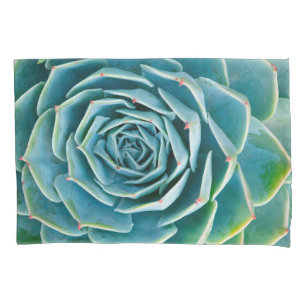 Echeveria Rosette, Secret Garden of Marrakech Pillowcase