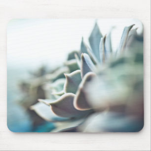 Echeveria succulent mouse pad