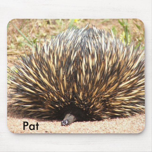 echidna_01, Pat Mouse Pad (Front)