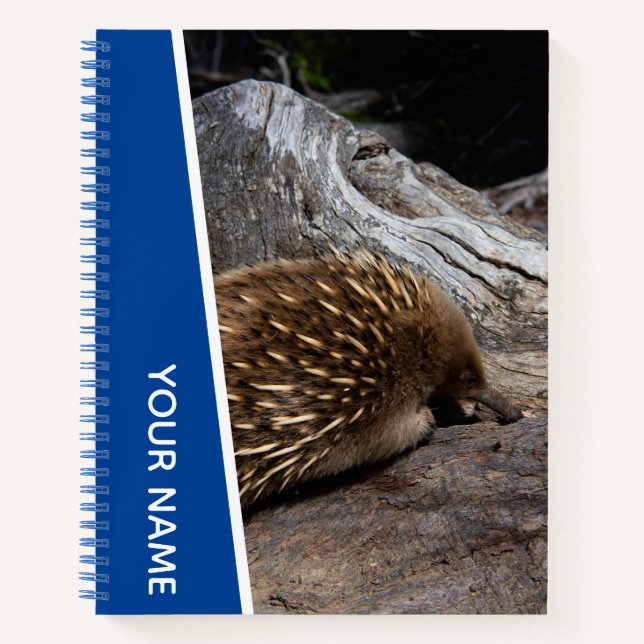 Echidna Australia Cute Spiky Animal, Blue Notebook (Front)