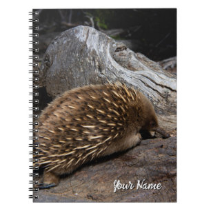Echidna Australia Notebook