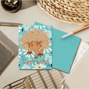 Echidna in Bloom Down Under Greetings Postcard