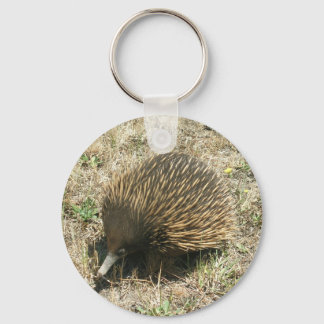 Echidna Key Ring
