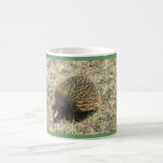 ECHIDNA Mug