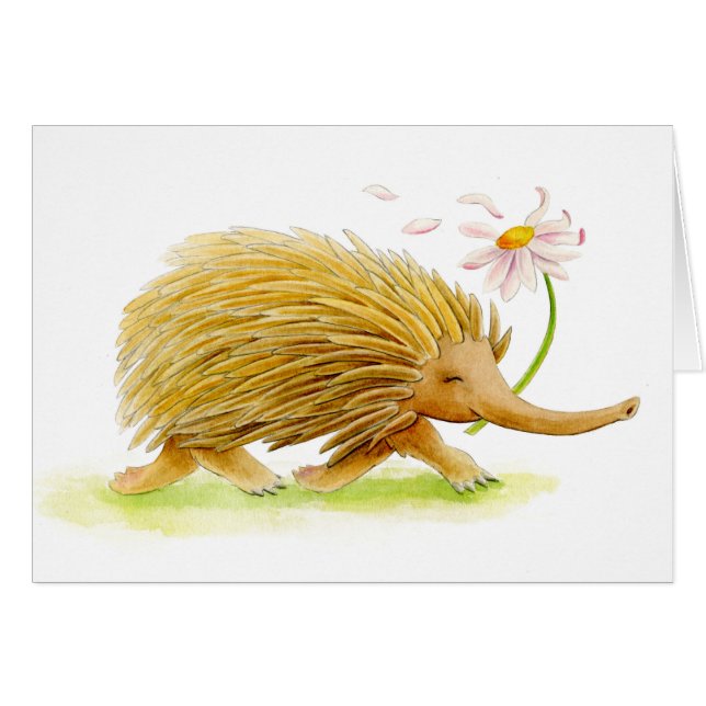Echidna whimsy animal watercolor art card (Front Horizontal)