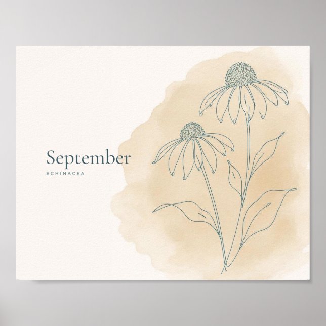 Echinacea Botanical Art Print | September (Front)
