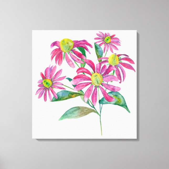 Echinacea Canvas Print (Front)