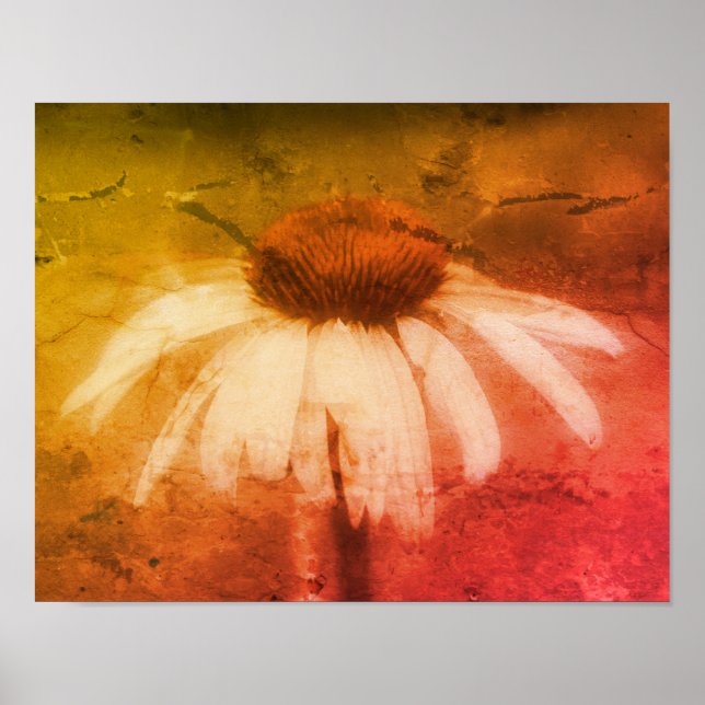 Echinacea Coneflower Daisy Distressed Art Poster (Front)
