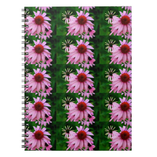 echinacea flower notebook (Front)