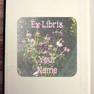Echinacea Flowers in the Sun Bookplate Square Sticker
