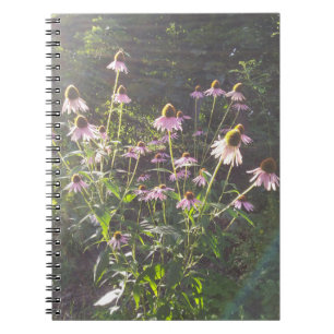 Echinacea Flowers in the Sun Notebook