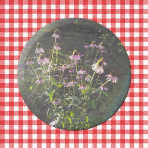 Echinacea Flowers in the Sun Paper Plate
