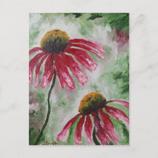 Echinacea Postcard