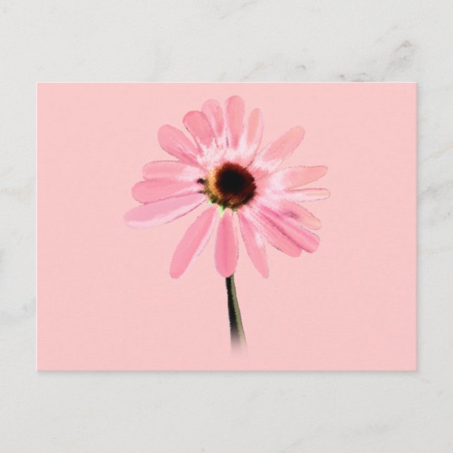 Echinacea purpurea postcard (Front)