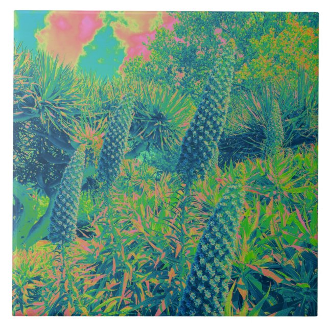 Echium Flowers Tropical Vibe Tile (Front)