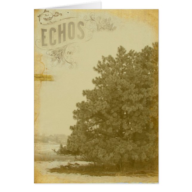 Echos of Winter (Front)