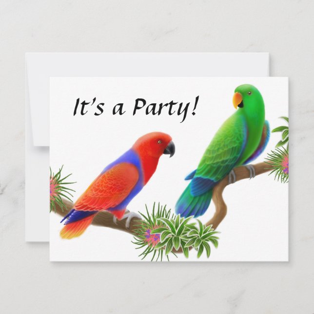 Eclectus Birds Invitation (Front)